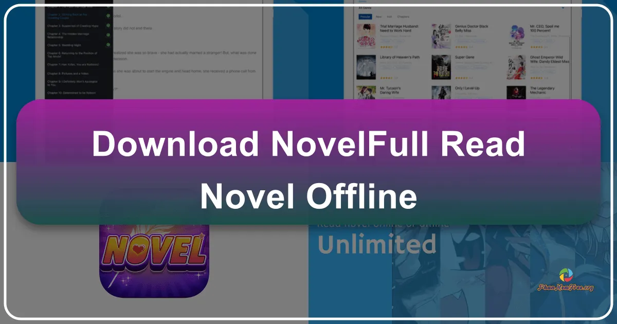 NovelFull: Your Offline Novel Library