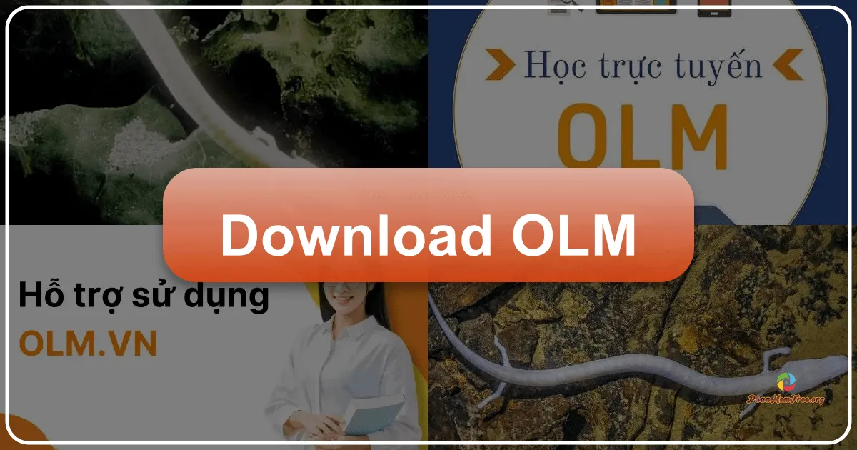 OLM: Nền tảng học tập trực tuyến miễn phí toàn diện cho học sinh Việt Nam