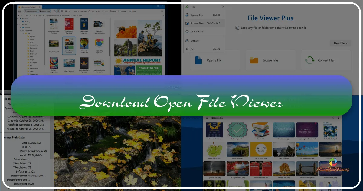 Open File Viewer: A Comprehensive Review