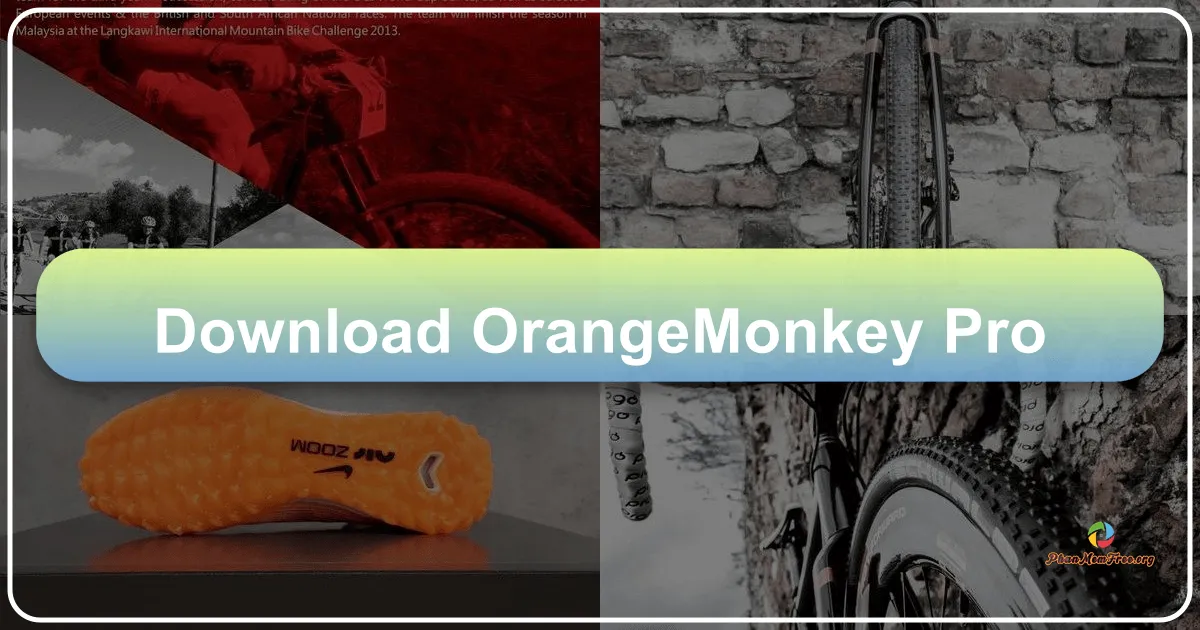 OrangeMonkey Pro: A Lightweight Userscript Manager for Enhanced Browsing