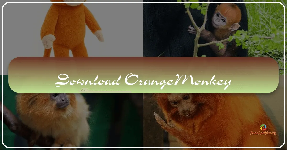 OrangeMonkey: A Comprehensive Userscript Manager for Chromium Browsers