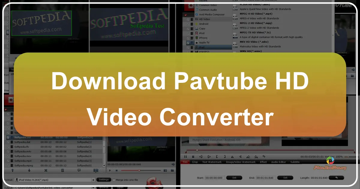 Pavtube HD Video Converter