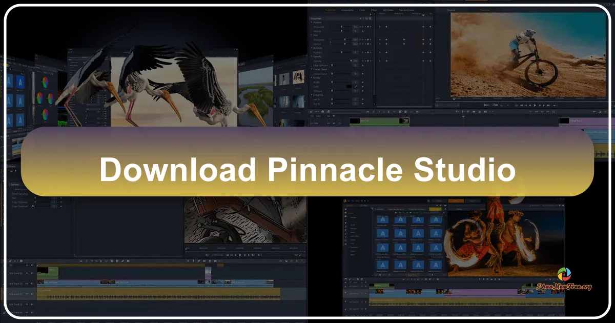 Pinnacle Studio 23: Trải nghiệm chỉnh sửa video chuyên nghiệp, dễ dàng sử dụng