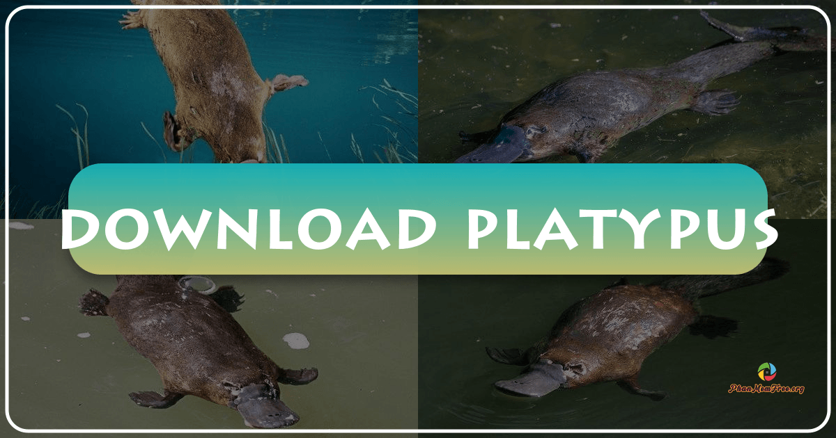 /images/download-platypus.png