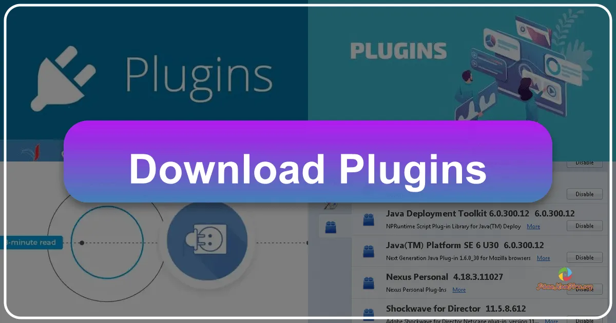Plugins: Streamlining Chrome Extension Management