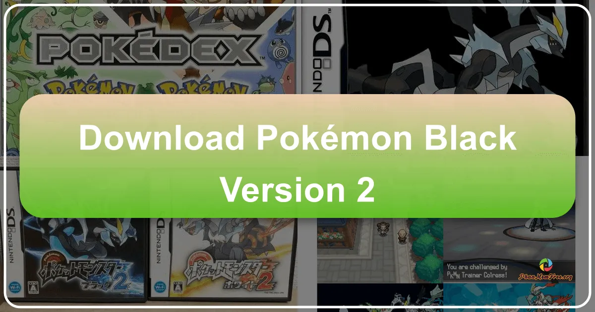 Pokémon Black Version 2: Hành trình phiêu lưu mới trong thế giới Pokémon
