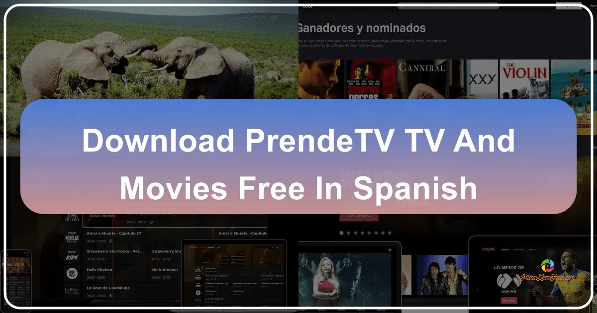 ViX: Your Gateway to Free Spanish and Non-Spanish TV and Movies