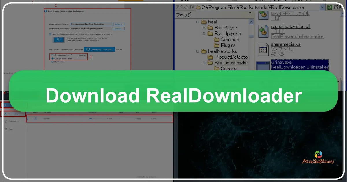 RealDownloader: A Retrospective on a Popular Video Downloading Tool