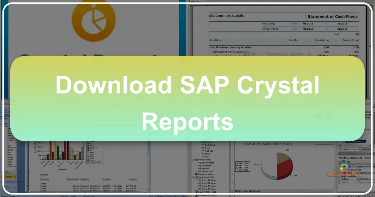 SAP Crystal Reports: A Comprehensive Guide for Business Reporting