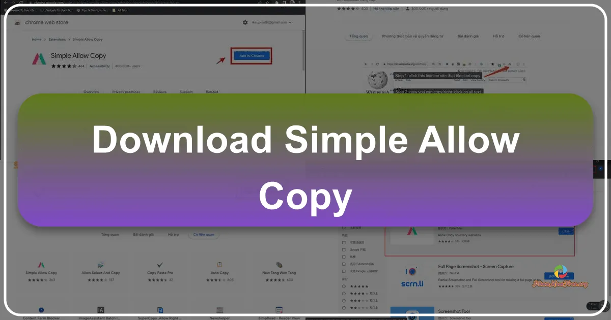 Simple Allow Copy: A Chrome Extension for Bypassing Copy Restrictions