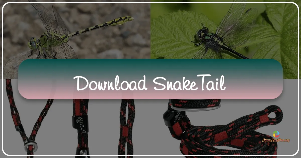 SnakeTail: Efficient Log Monitoring for Windows