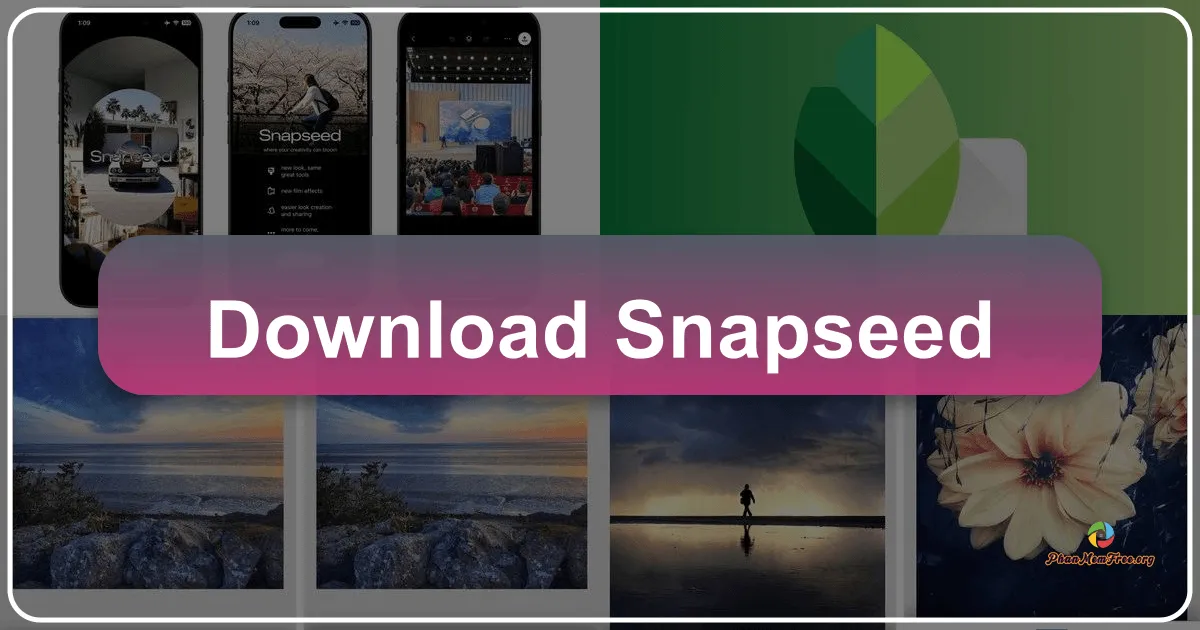 Snapseed: Your Professional-Grade Photo Editing Companion