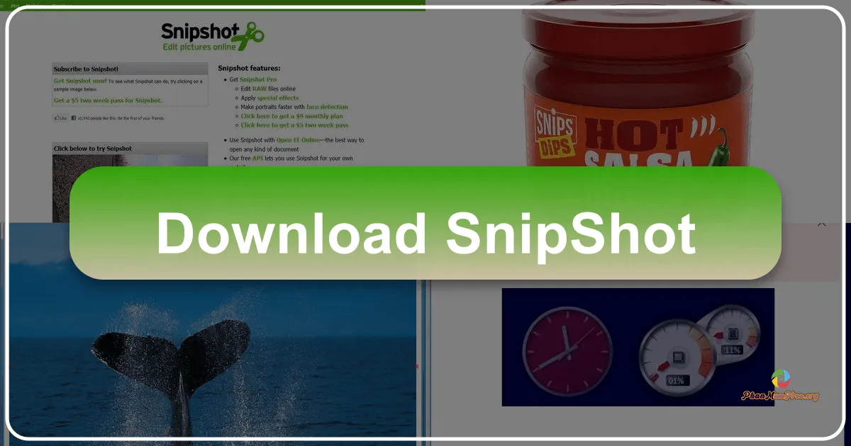 Snipshot: A Streamlined Online Graphics Editor