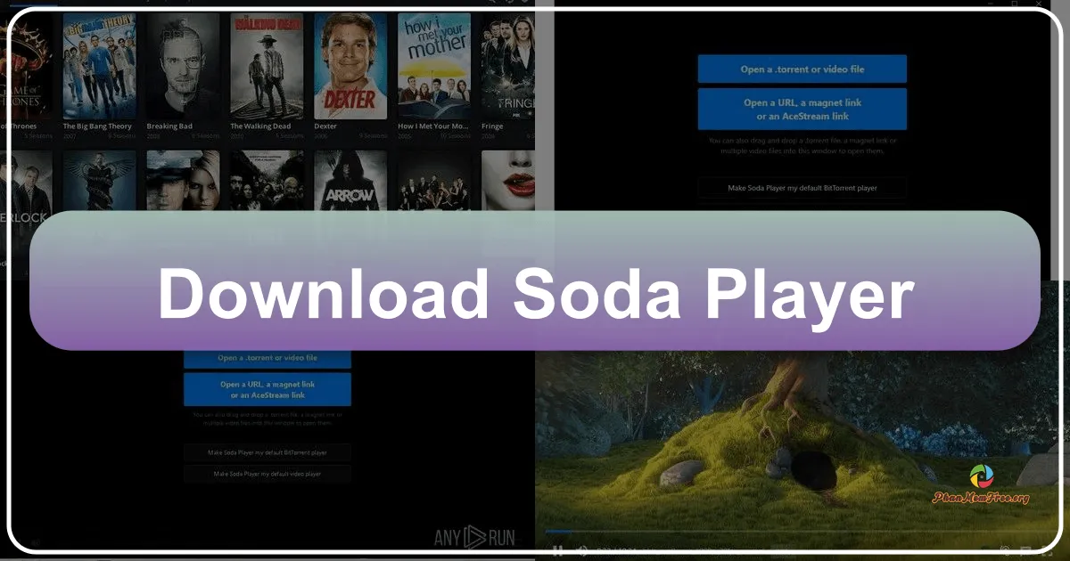 Soda Player: A Comprehensive Review of a Versatile Media Player