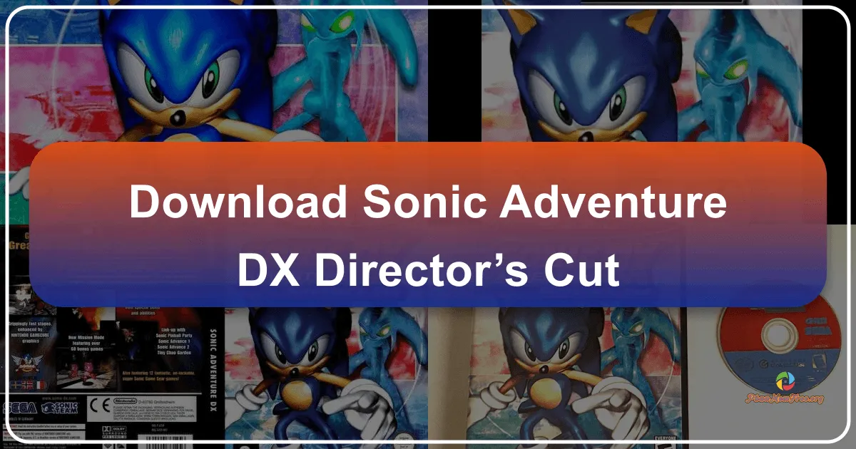 Sonic Adventure DX: Director's Cut – A Nostalgic Trip Down Memory Lane