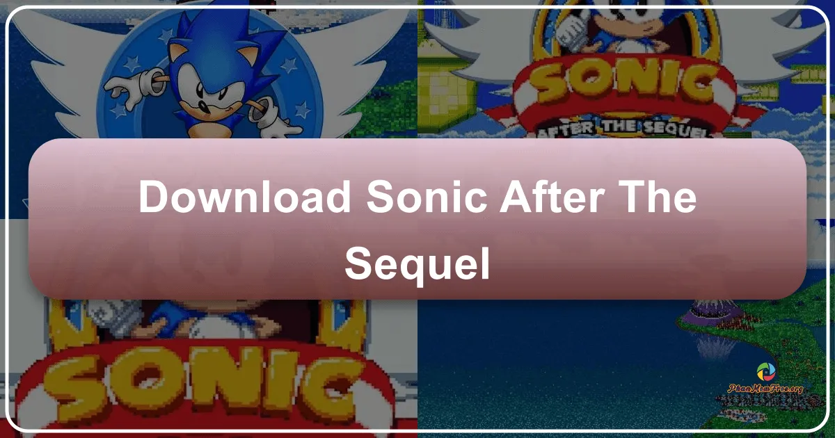 Sonic After the Sequel: A Classic Sonic Adventure Revisited
