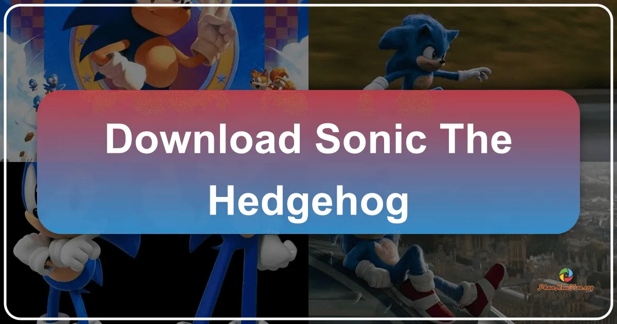 Sonic the Hedgehog: A Blast from the Past, Reimagined for the Modern Age