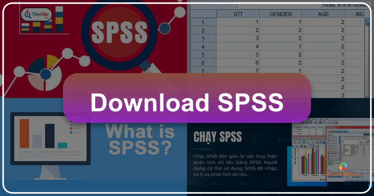 Comprehensive guide to SPSS, a powerful statistical software for data analysis and management across various disciplines. /images/download-spss.png