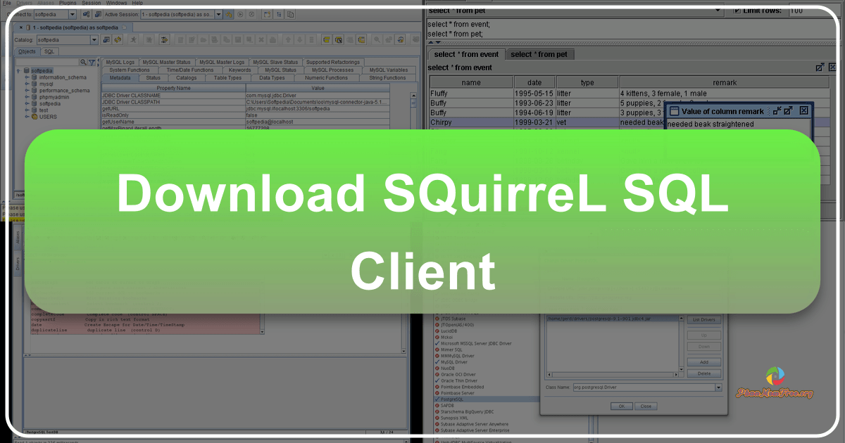 /images/download-squirrel-sql-client.png