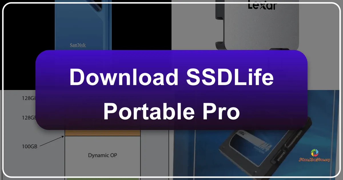 SSDLife Portable Pro: Giải Pháp Toàn Diện Kiểm Tra Sức Khỏe Ổ Đĩa SSD