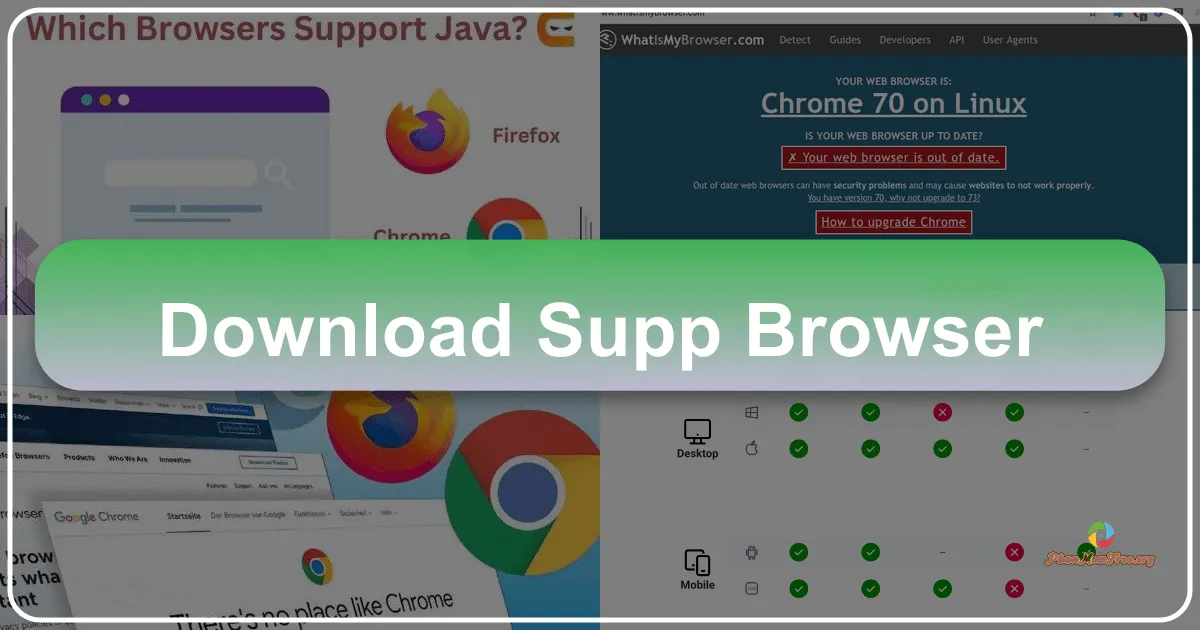Supp Browser: A Lightweight and Customizable Android Web Browser