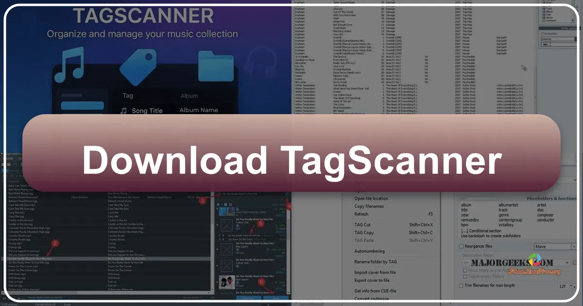 TagScanner: A Comprehensive Music Tag Editor