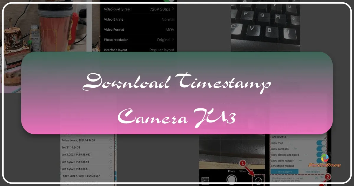 Timestamp Camera: A Comprehensive Review