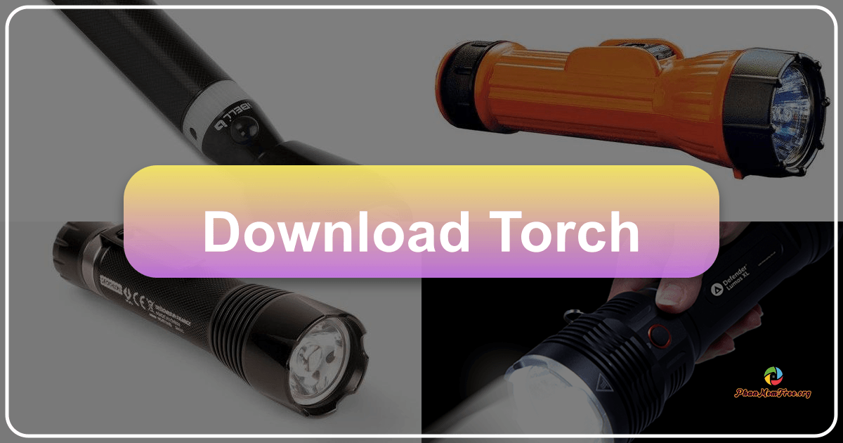 /images/download-torch.png