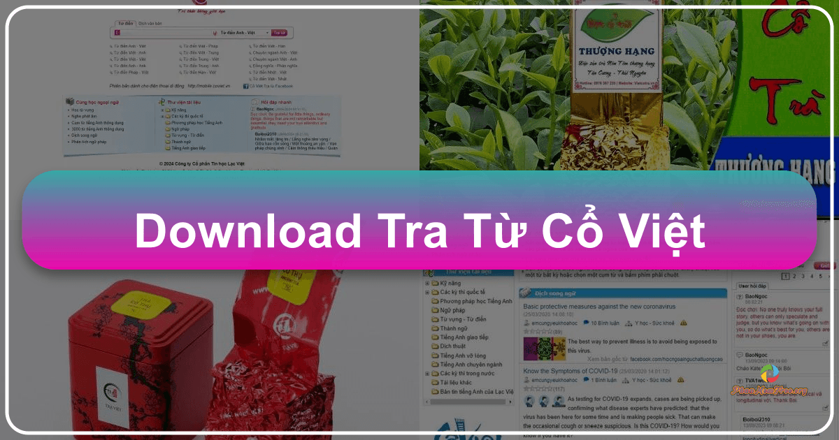 /images/download-tra-tu-co-viet.png