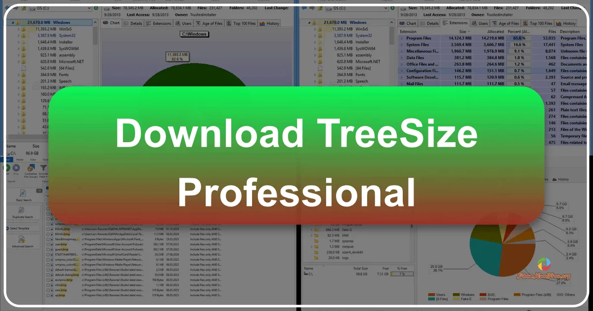 TreeSize Professional: Unveiling and Reclaiming Your Disk Space