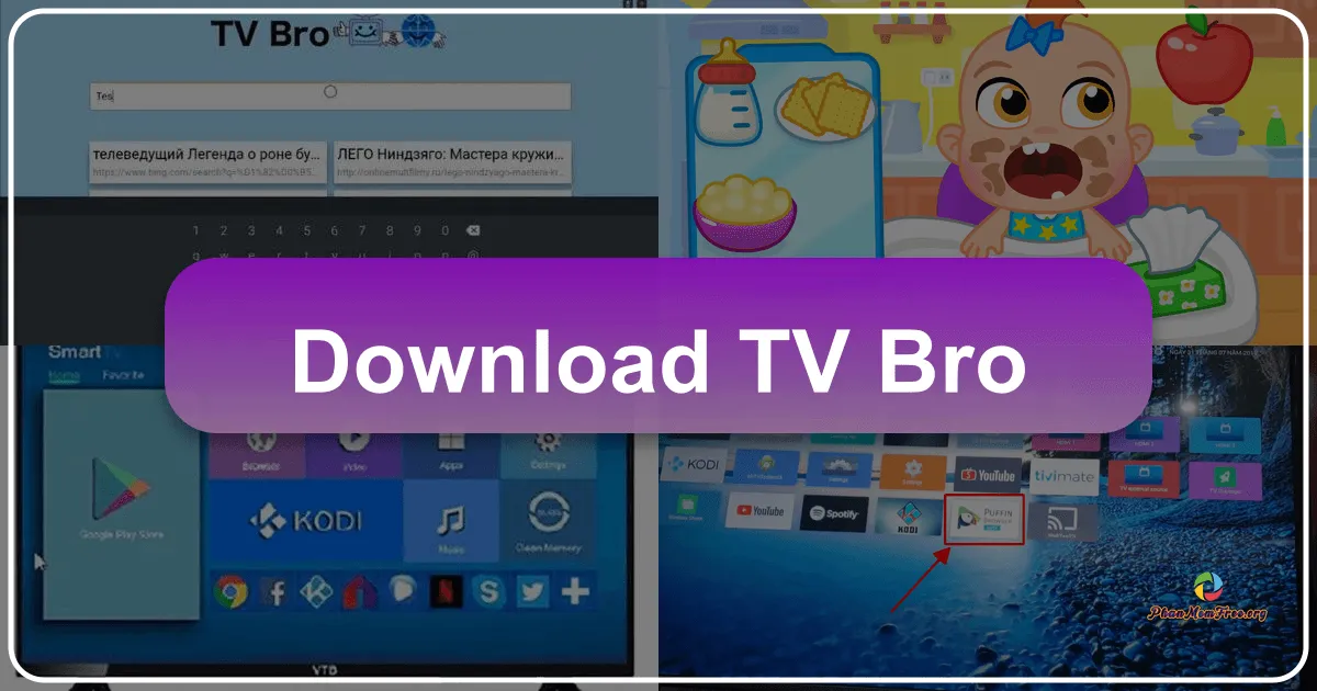 TV Bro: A Comprehensive Review of the Android TV Browser