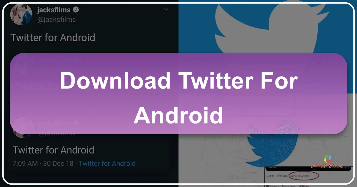 X (trước đây là Twitter) cho Android: Hướng dẫn sử dụng và các tính năng nổi bật