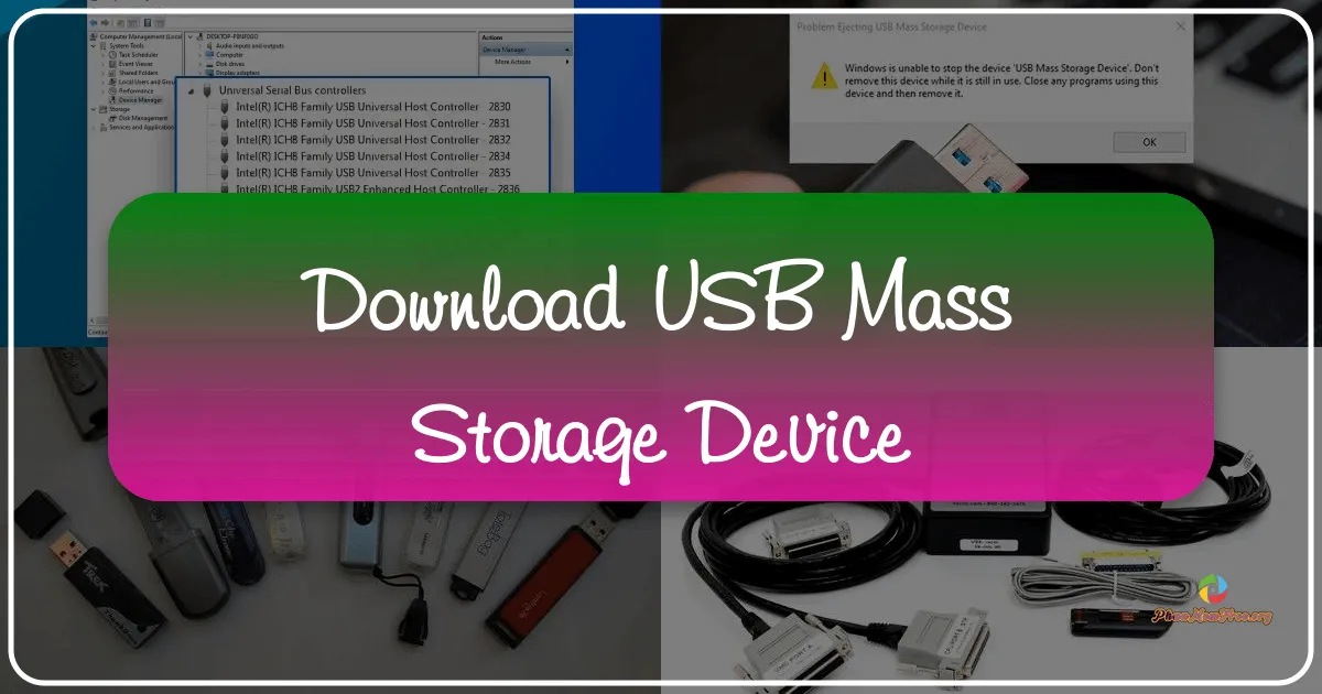 USB Mass Storage Device: A Comprehensive Review
