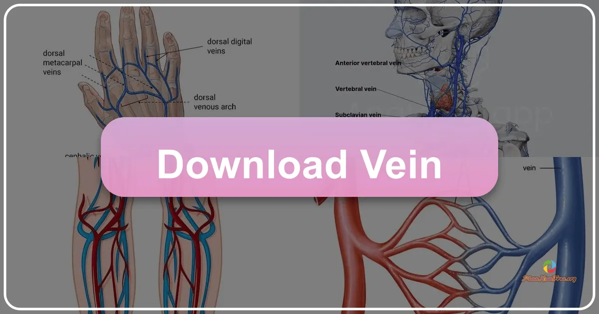 VEIN: A Post-Apocalyptic Multiplayer Survival Saga Unveiled