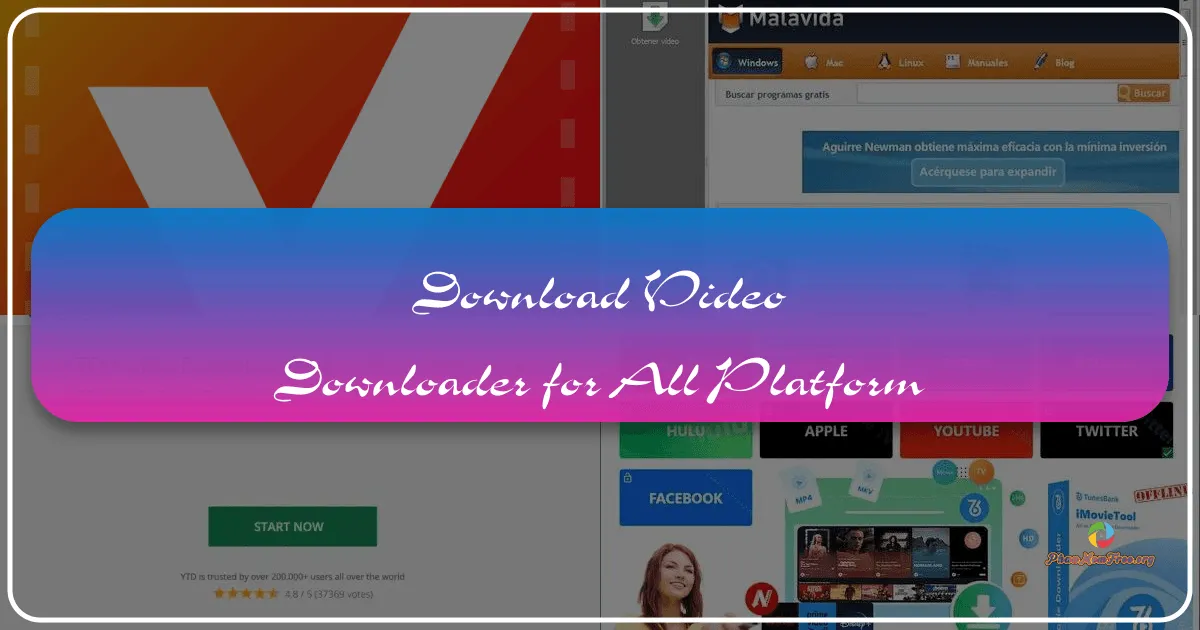 Video Downloader for All Platforms: A Comprehensive Guide