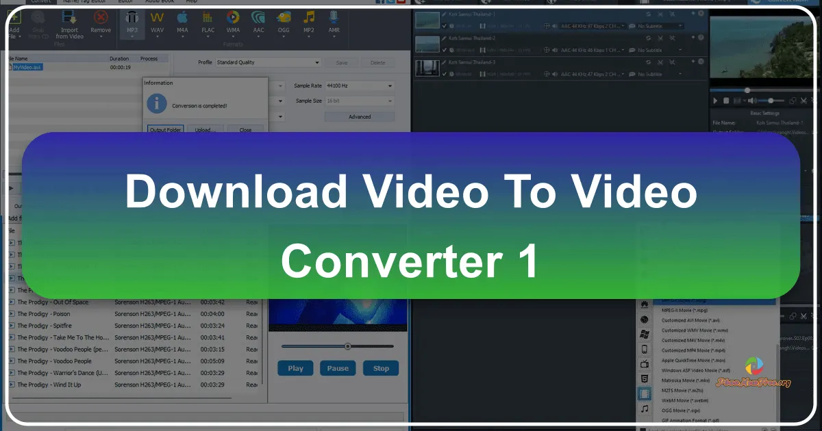 Video to Video Converter: A Comprehensive Review