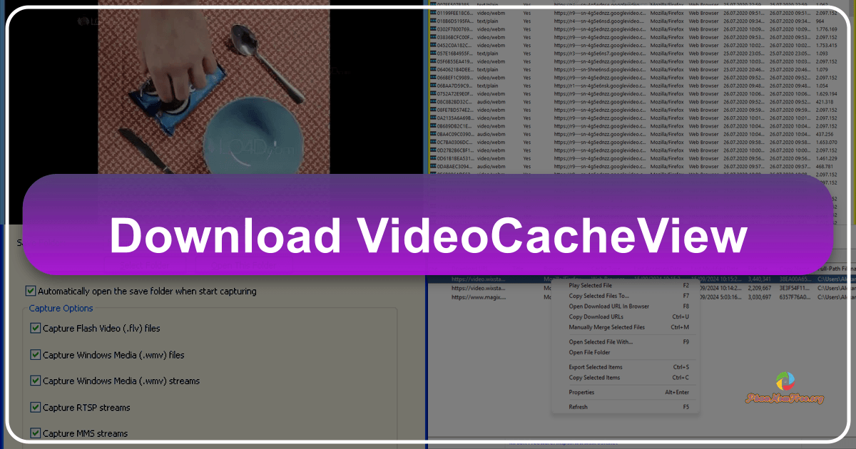 VideoCacheView: A utility to recover and save videos from your browser's cache for offline viewing. /images/download-videocacheview.png