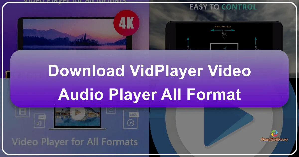 VidPlayer - Video Audio Player All Format: A Comprehensive Review
