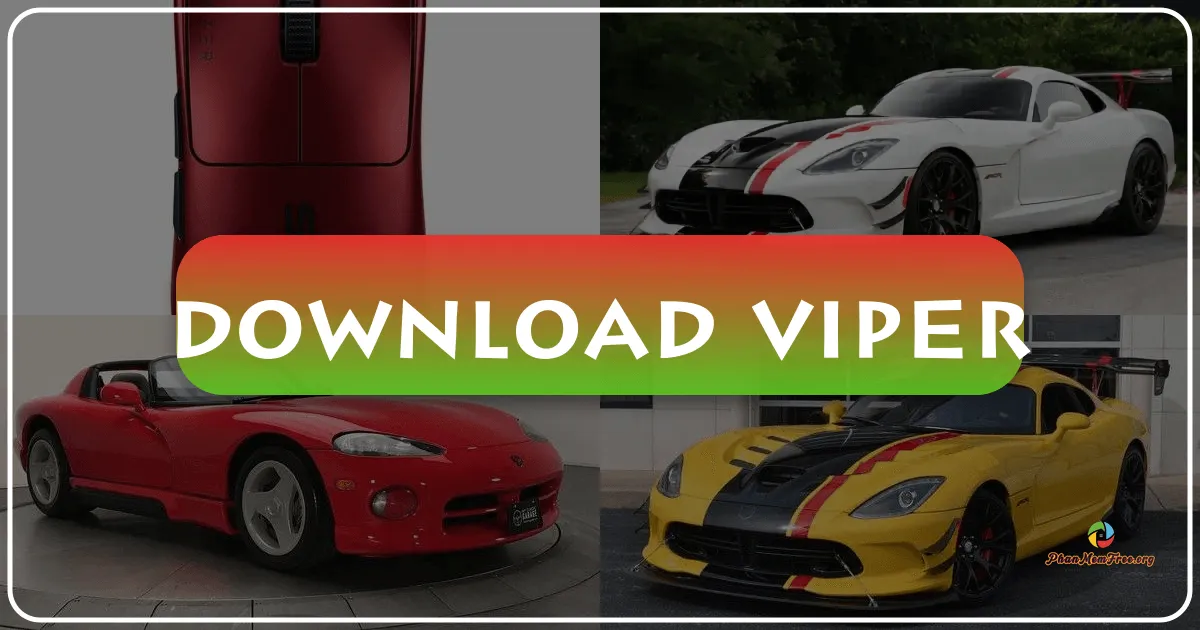 Viper: A Comprehensive Review of the Anti-Plagiarism Software