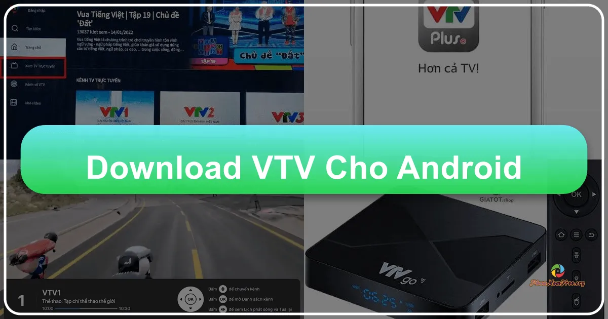 Tivi Việt HD cho Android: Trải nghiệm truyền hình đa dạng trên thiết bị di động