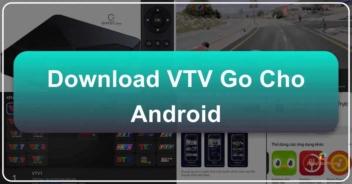 VTV Go cho Android: Trải nghiệm truyền hình Việt Nam mọi lúc, mọi nơi