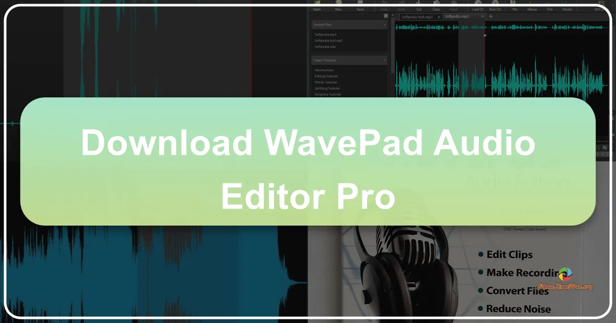 WavePad Audio Editor Pro: A Comprehensive Review