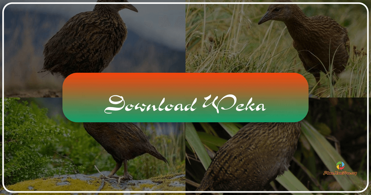 /images/download-weka.png