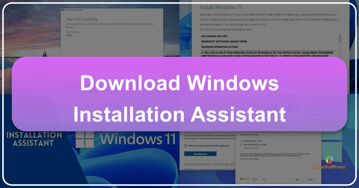 Trợ lý Cài đặt Windows 11: Hướng dẫn chi tiết và toàn diện