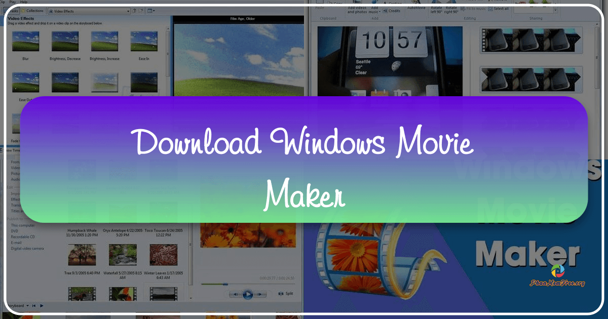 /images/download-windows-movie-maker.png