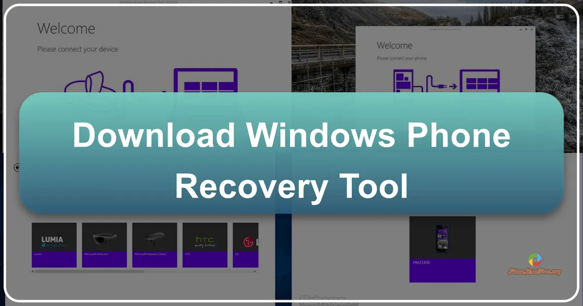 Tải về Windows Phone Recovery Tool – Giải pháp khôi phục điện thoại Windows của bạn