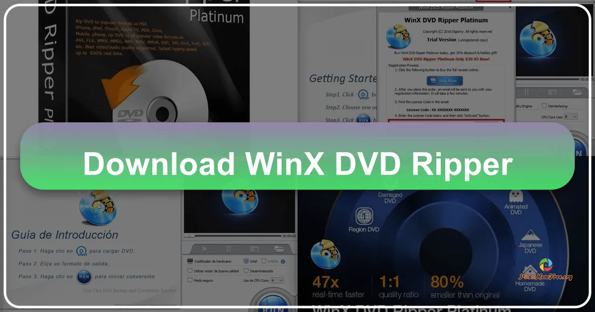 WinX DVD Ripper Platinum: A Comprehensive Review