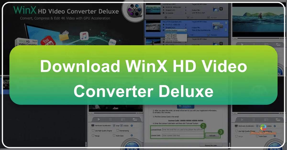 WinX HD Video Converter Deluxe: A Comprehensive Review