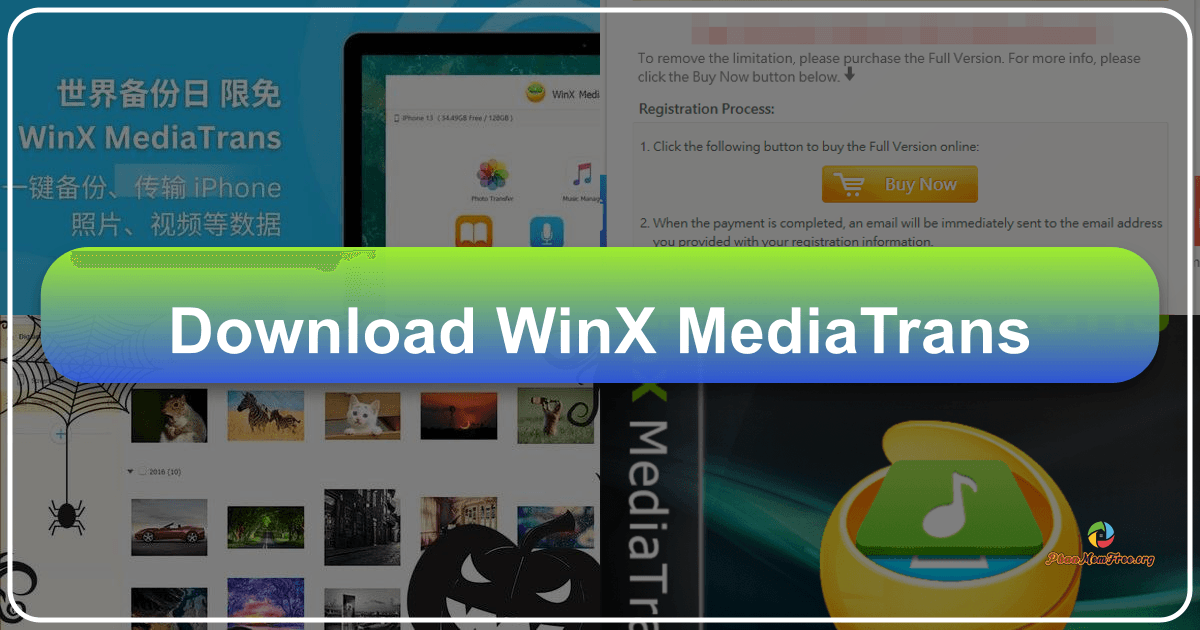 WinX MediaTrans review: a fast and user-friendly iPhone/iPad media manager with advanced features. /images/download-winx-mediatrans.png