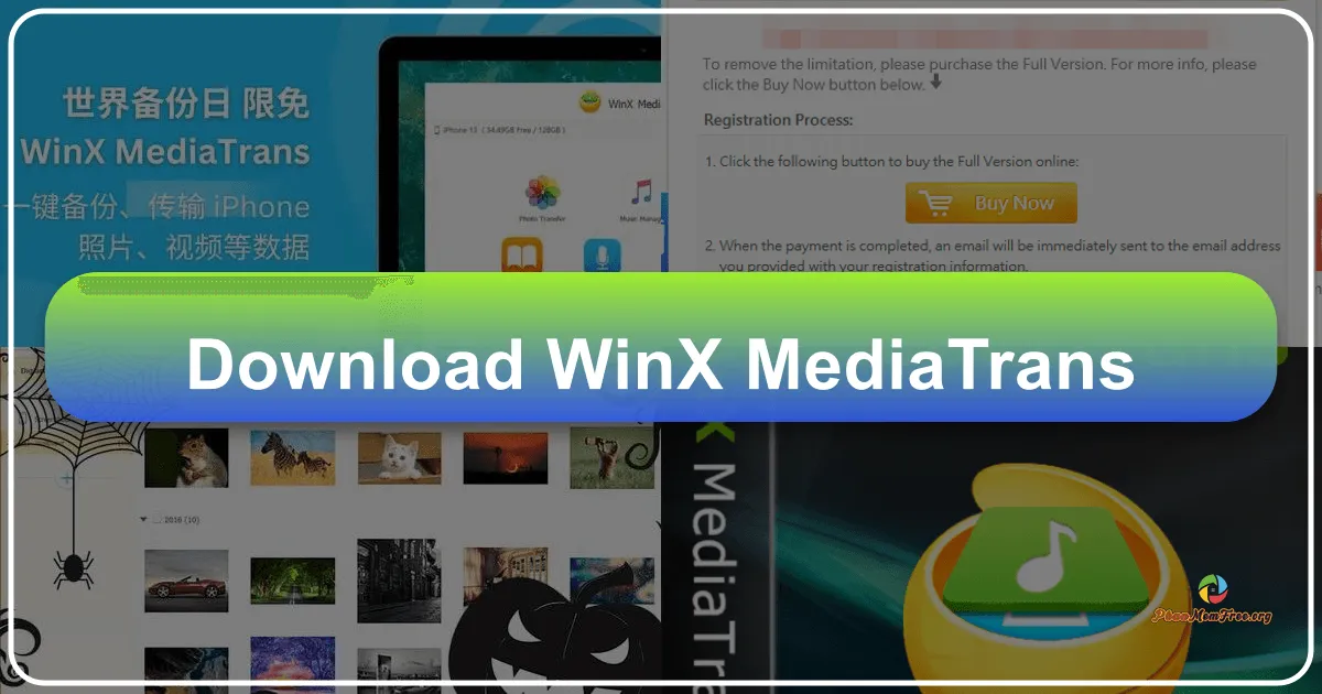 WinX MediaTrans: A Comprehensive Review of This iPhone/iPad Manager
